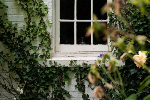 Fitzpatricks Inn image 8